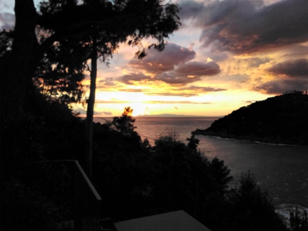 Villa Mimosa Splendida Vista Mare 보나솔라 외부 사진