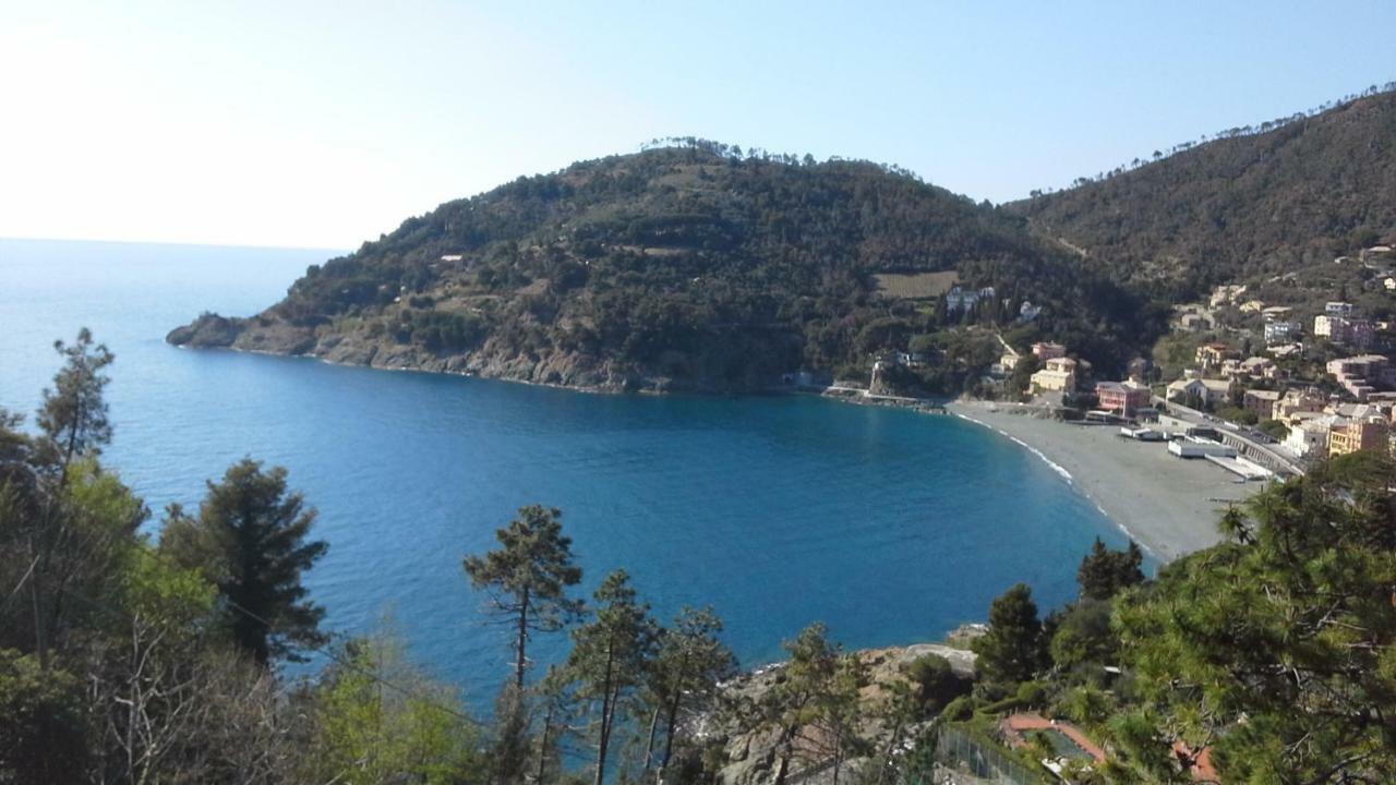 Villa Mimosa Splendida Vista Mare 보나솔라 외부 사진